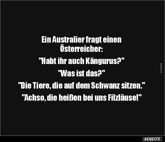 Ein Australier fragt einen Österreicher: "Habt ihr auch.." - Lustige Bilder | DEBESTE.de