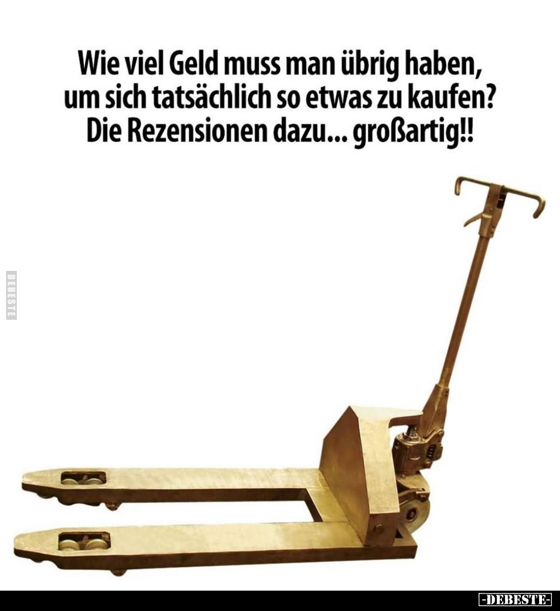 Wie viel Geld muss man übrig haben, um sich tatsächlich so etwas zu kaufen? Die Rezensionen dazu... großartig!!