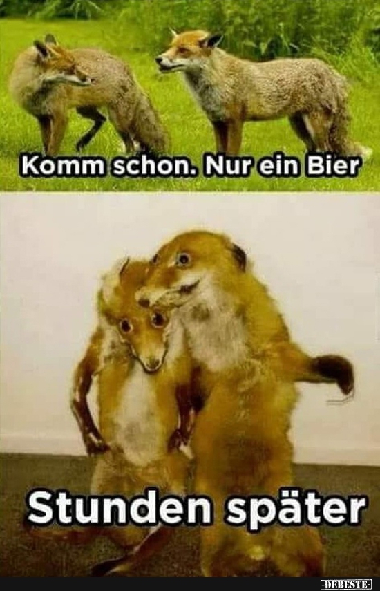 Komm schon. Nur ein Bier..