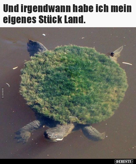 Und irgendwann habe ich mein eigenes Stück Land...