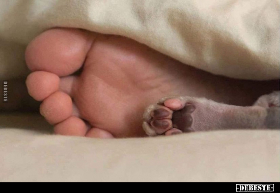  - Lustige Bilder | DEBESTE.de