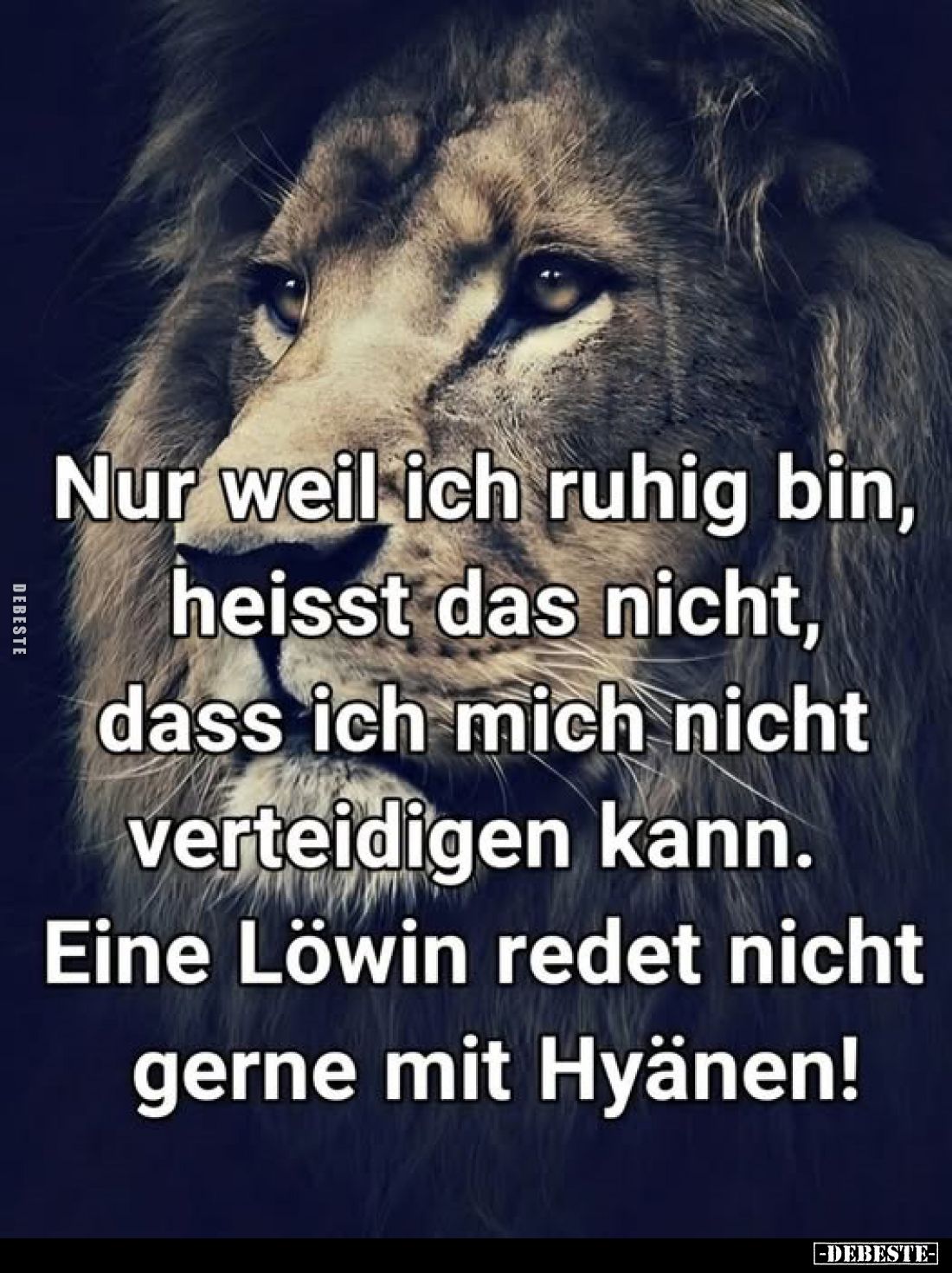 Nur weil ich ruhig bin, heisst das nicht, dass ich mich.. - Lustige Bilder | DEBESTE.de
