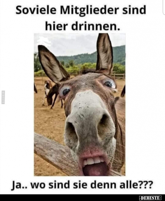 Soviele Mitglieder sind hier drinnen...