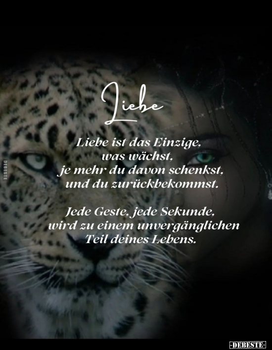 Liebe. Liebe ist das Einzige.. - Lustige Bilder | DEBESTE.de