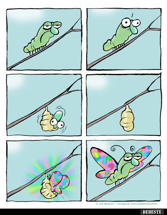  - Lustige Bilder | DEBESTE.de