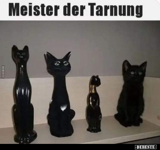 Meister der Tarnung... - Lustige Bilder | DEBESTE.de