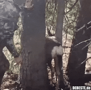 Jeden Tag eine gute Tat..