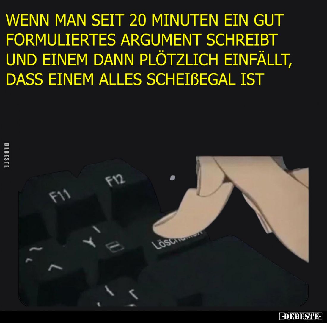 Wenn man seit 20 Minuten ein gut formuliertes Argument schreibt

und einem dann plötzlich einfällt,

dass einem alles sch...