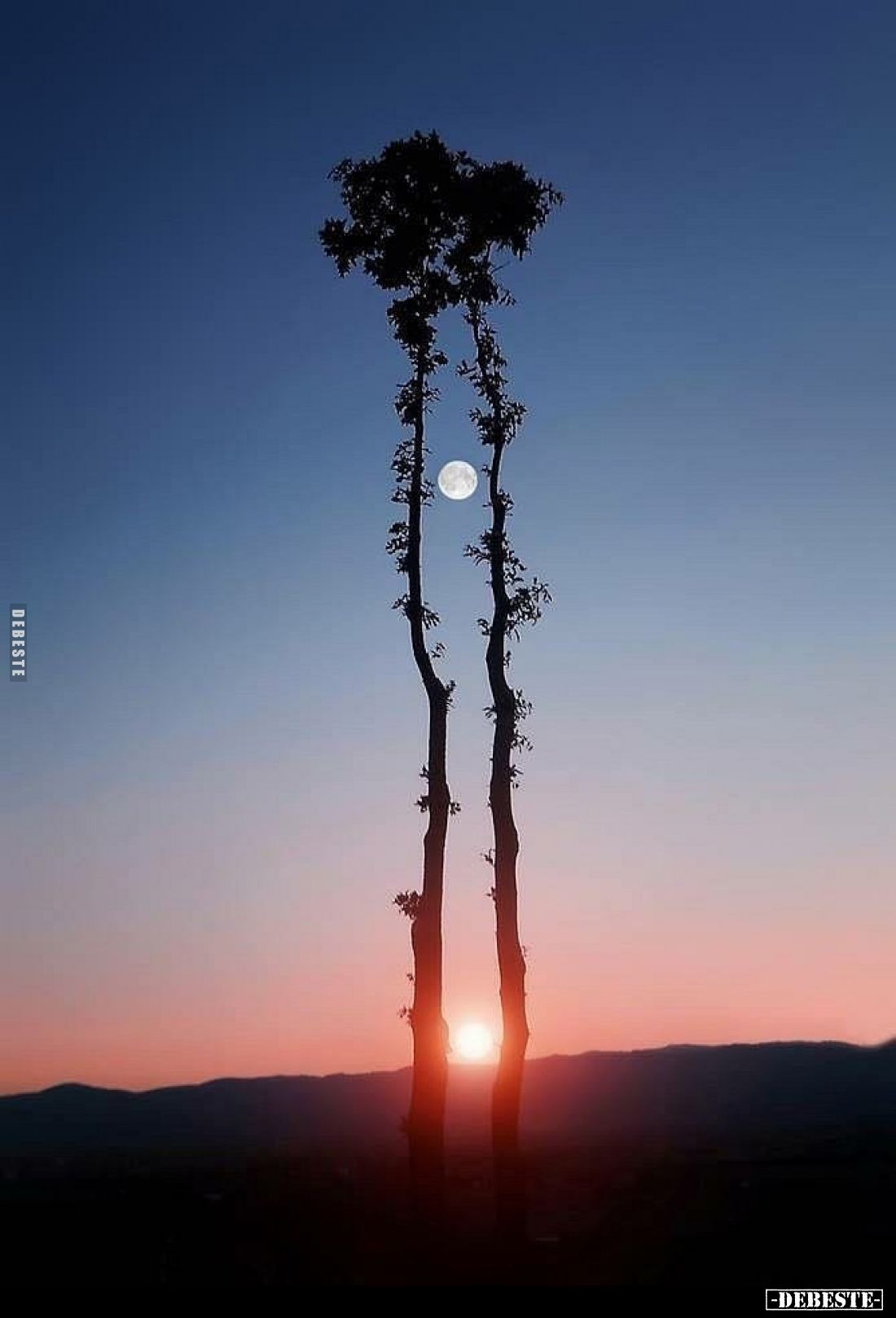  - Lustige Bilder | DEBESTE.de