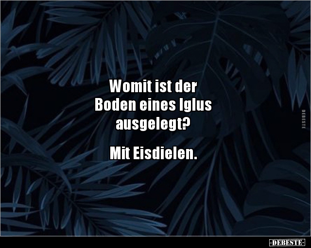 Womit ist der Boden eines Iglus ausgelegt?... - Lustige Bilder | DEBESTE.de