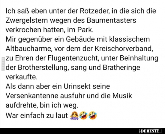 Ich saß eben unter der Rotzeder, in die sich die..