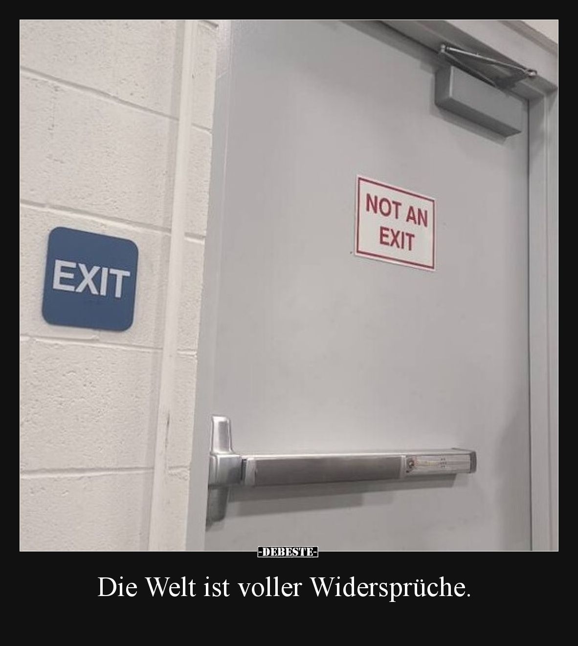 Die Welt ist voller Widersprüche.