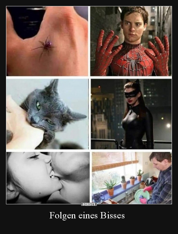 Folgen eines Bisses.. - Lustige Bilder | DEBESTE.de