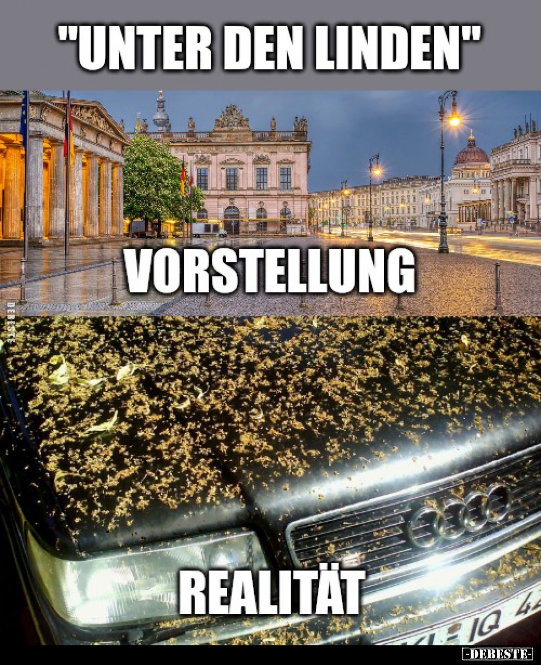 "Unter den Linden" -
Vorstellung
-
Realität.