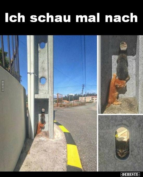Ich schau mal nach..