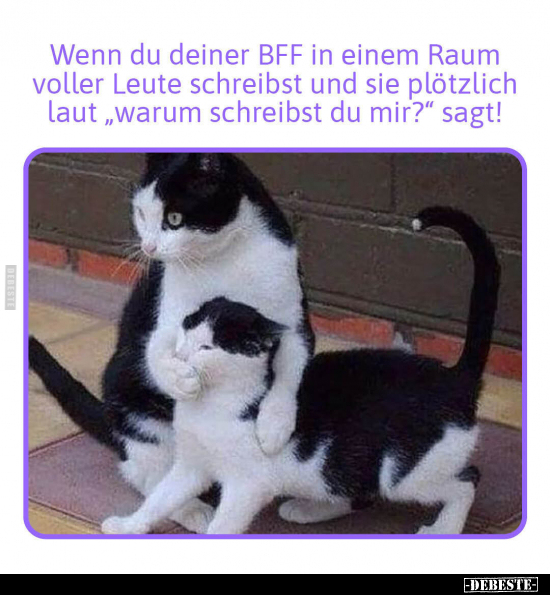 Wenn du deiner BFF in einem Raum voller Leute schreibst und.. - Lustige Bilder | DEBESTE.de