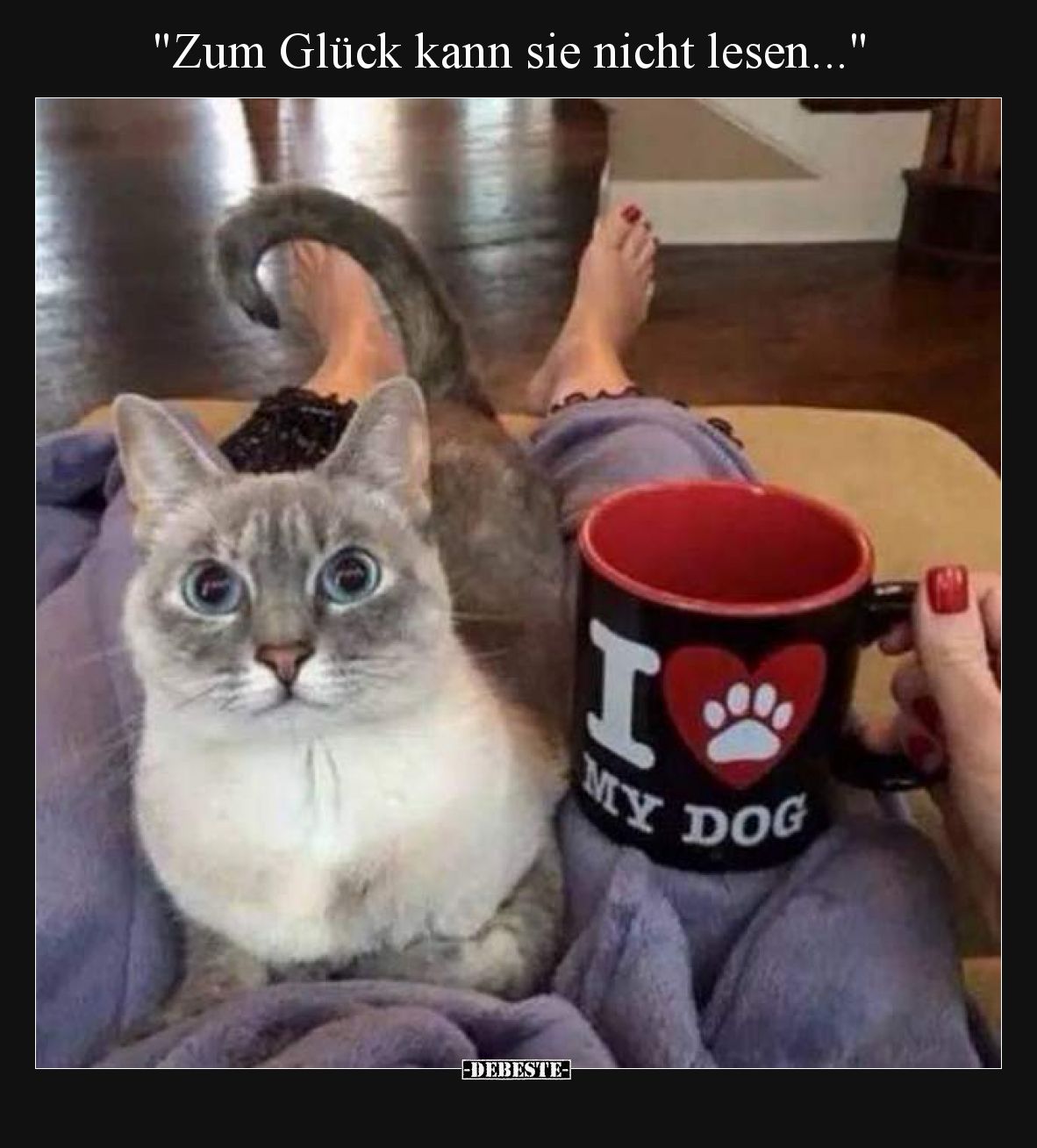 Zum Glück kann sie nicht lesen.