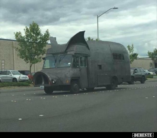  - Lustige Bilder | DEBESTE.de