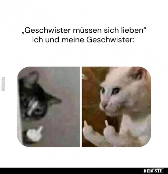 "Geschwister müssen sich lieben".. - Lustige Bilder | DEBESTE.de