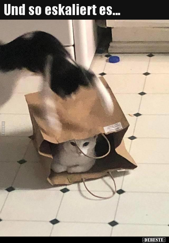 Und so eskaliert es...
