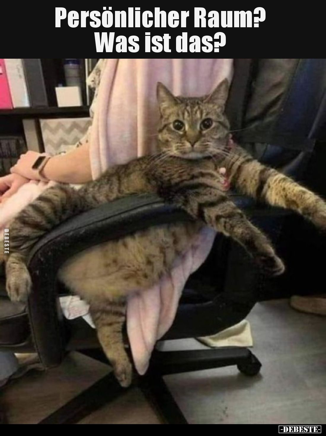 Persönlicher Raum? Was ist das?