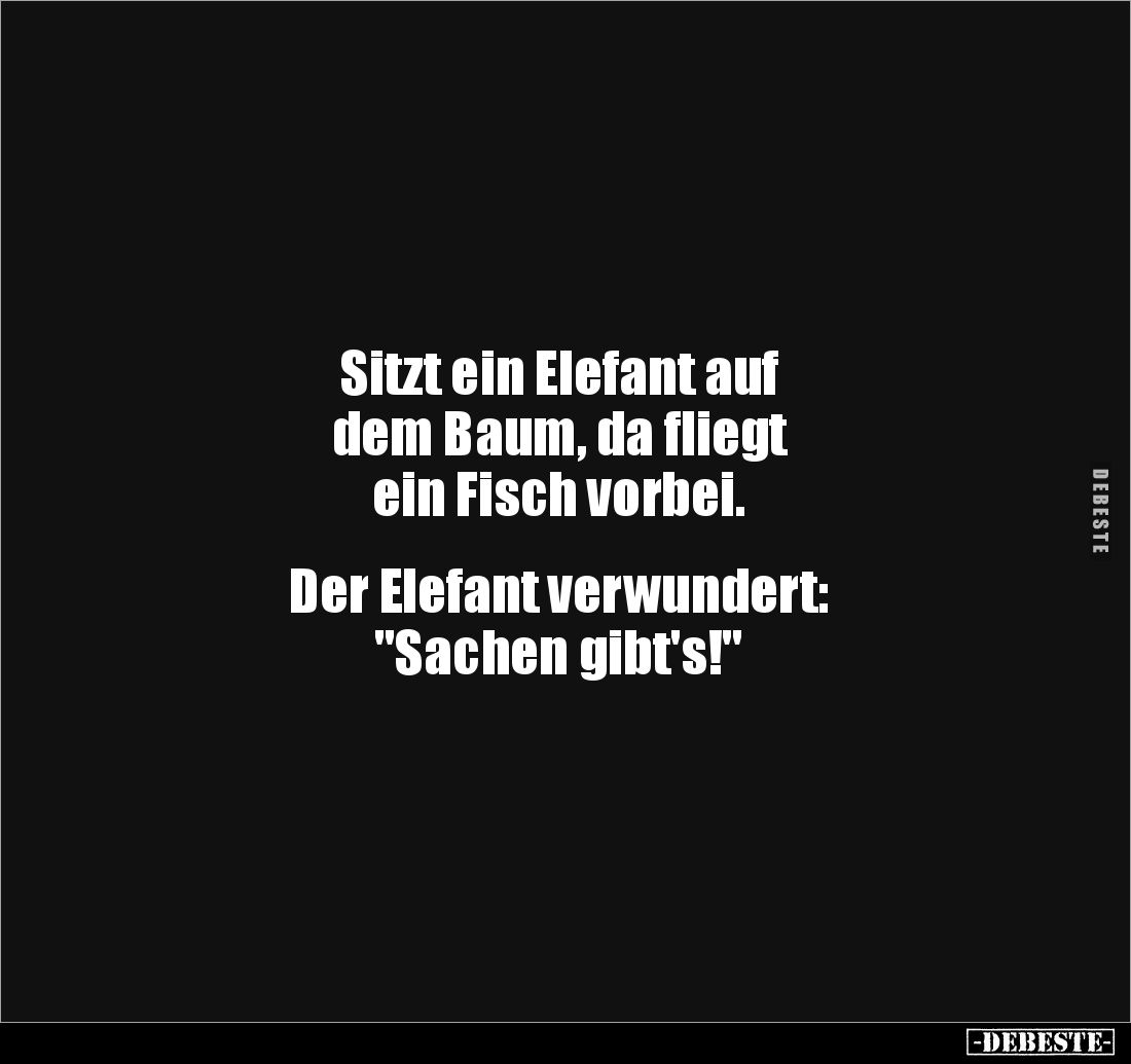 Sitzt ein Elefant auf 
dem Baum, da fliegt 
ein Fisch vorbei.


Der Elefant verwundert: 
"Sachen gibt's!"