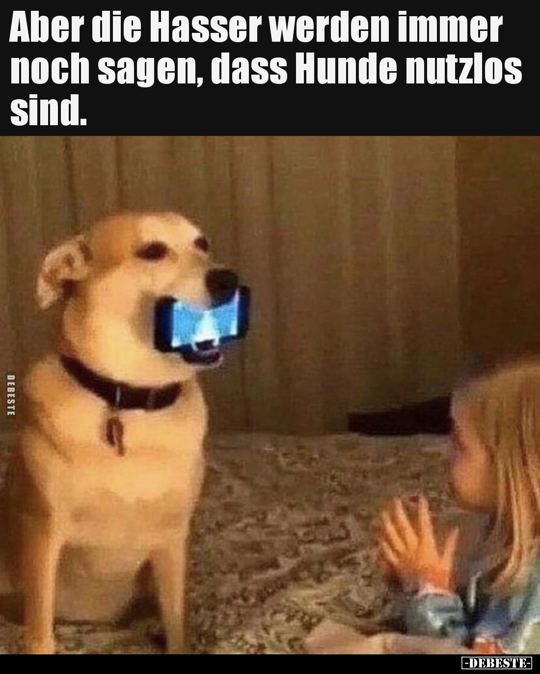 Aber die Hasser werden immer noch sagen, dass Hunde nutzlos.. - Lustige Bilder | DEBESTE.de