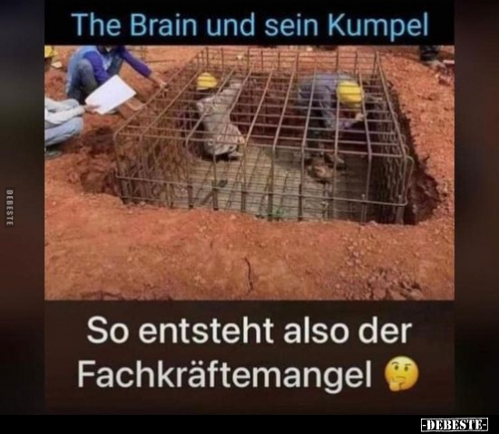 The Brain und sein Kumpel... - Lustige Bilder | DEBESTE.de