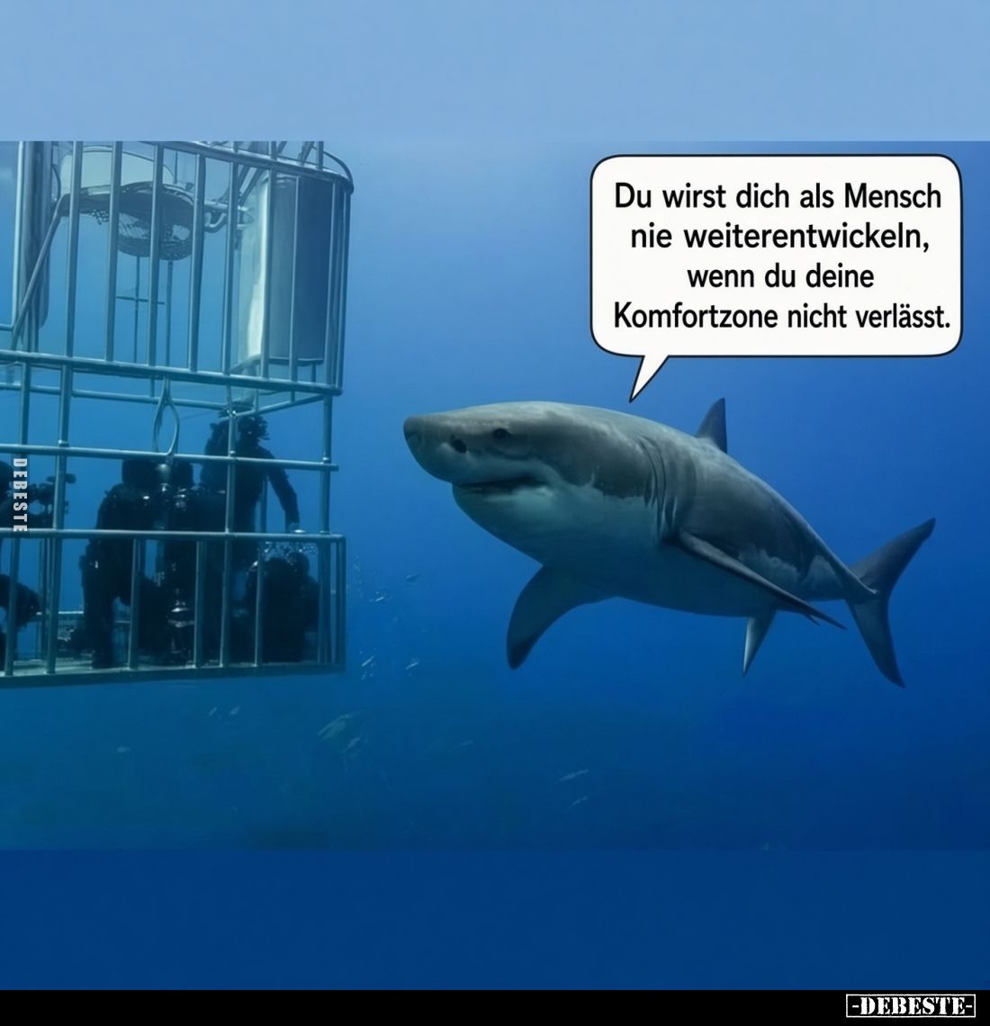 Du wirst dich als Mensch nie weiterentwickeln, wenn du deine Komfortzone nicht verlässt.