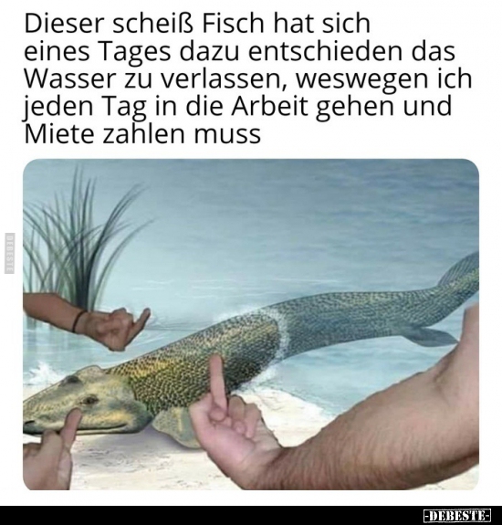 Dieser scheiß Fisch hat sich eines Tages dazu entschieden.. - Lustige Bilder | DEBESTE.de