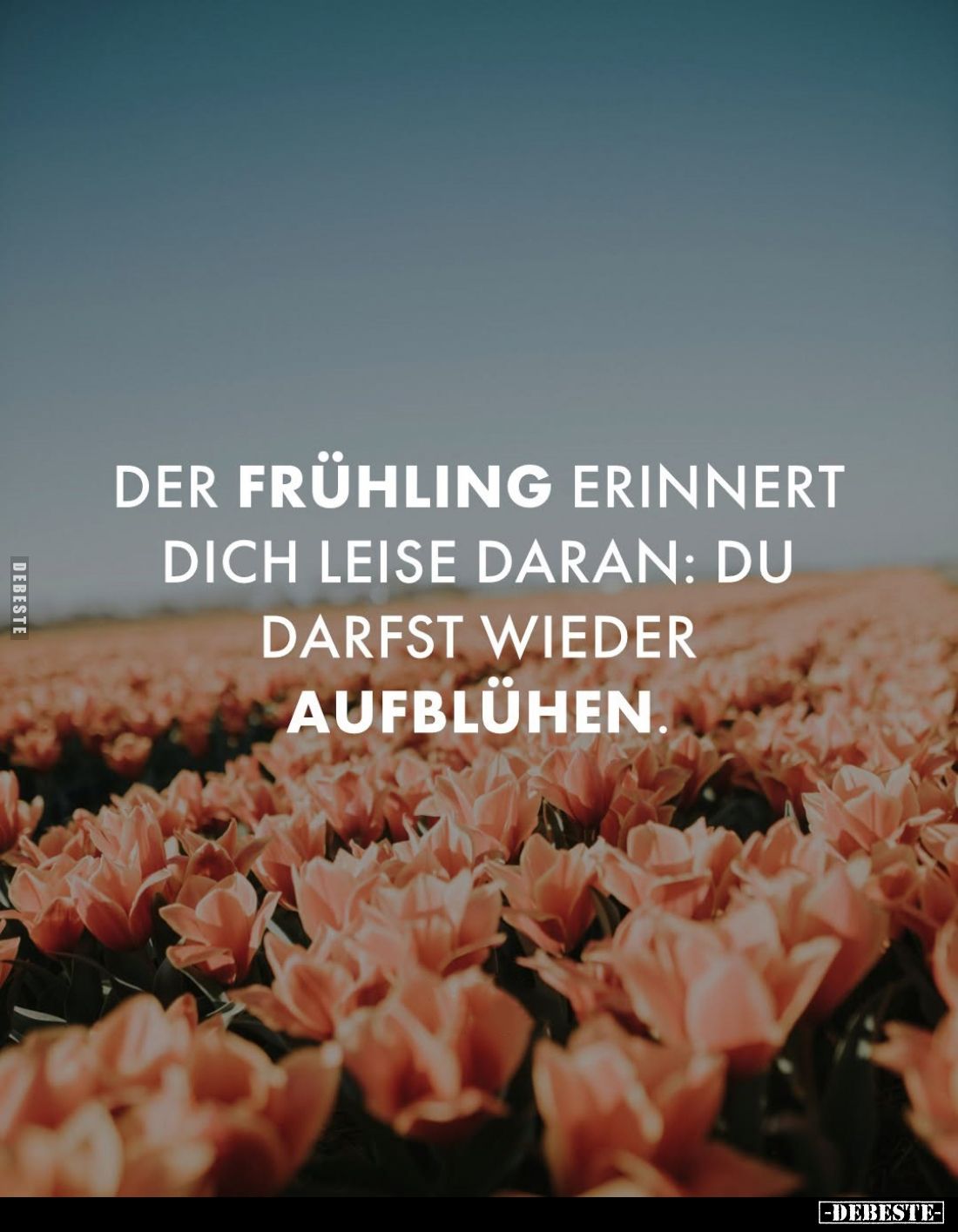 Der Frühling erinnert dich leise daran... - Lustige Bilder | DEBESTE.de