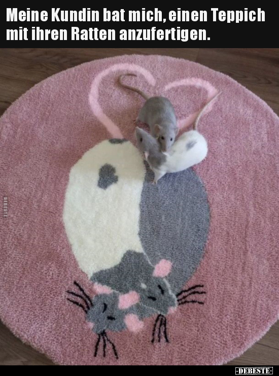 Meine Kundin bat mich, einen Teppich mit ihren Ratten.. - Lustige Bilder | DEBESTE.de