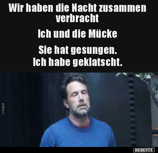 Wir haben die Nacht zusammen verbracht
Ich und die Mücke
Sie hat gesungen. Ich habe geklatscht.