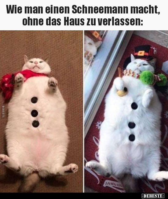 Wie man einen Schneemann macht, ohne das Haus zu.. - Lustige Bilder | DEBESTE.de