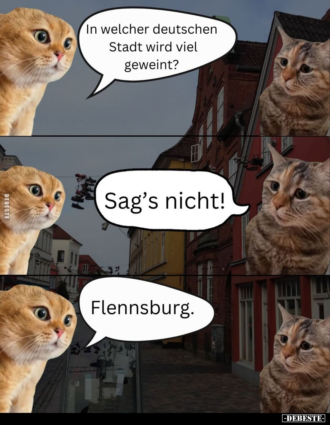 In welcher deutschen Stadt wird viel geweint? -
Sag's nicht! -
Flennsburg.