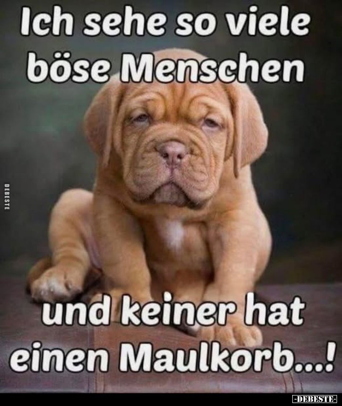 Ich sehe so viele böse Menschen
und keiner hat einen Maulkorb...!