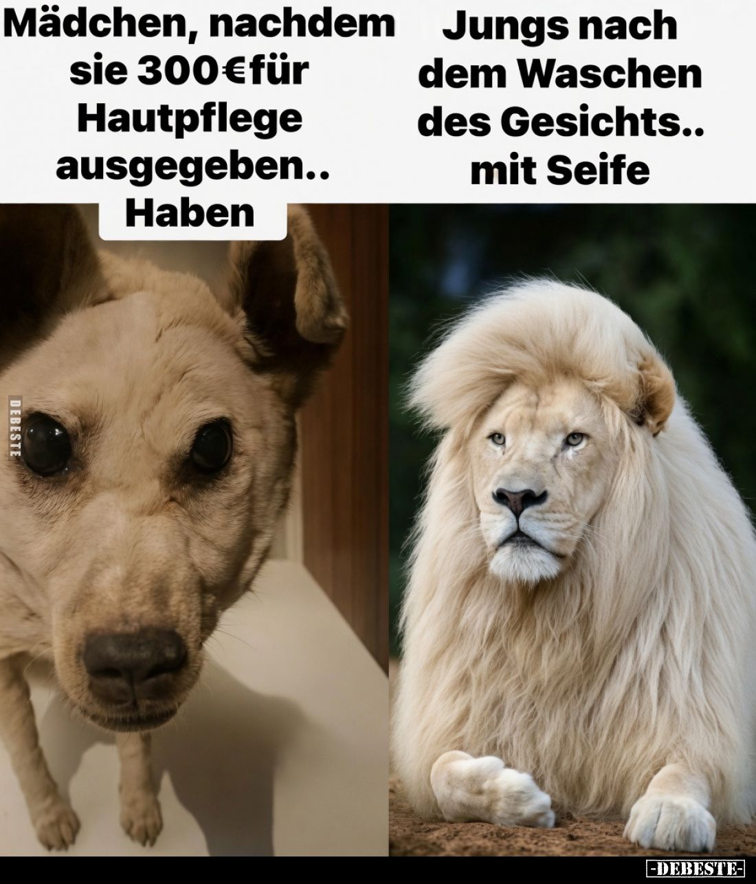 Mädchen, nachdem sie 300 € für Hautpflege ausgegeben haben
- 
Jungs nach dem Waschen des Gesichts... mit Seife