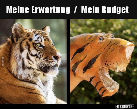 Meine Erwartung /  Mein Budget.. - Lustige Bilder | DEBESTE.de