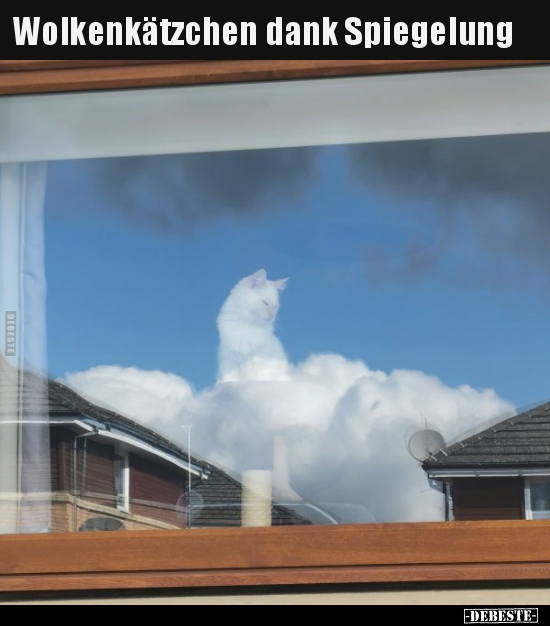 Wolkenkätzchen dank Spiegelung.. - Lustige Bilder | DEBESTE.de