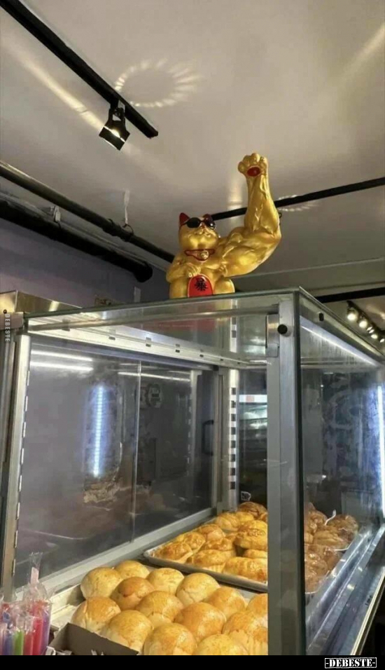  - Lustige Bilder | DEBESTE.de