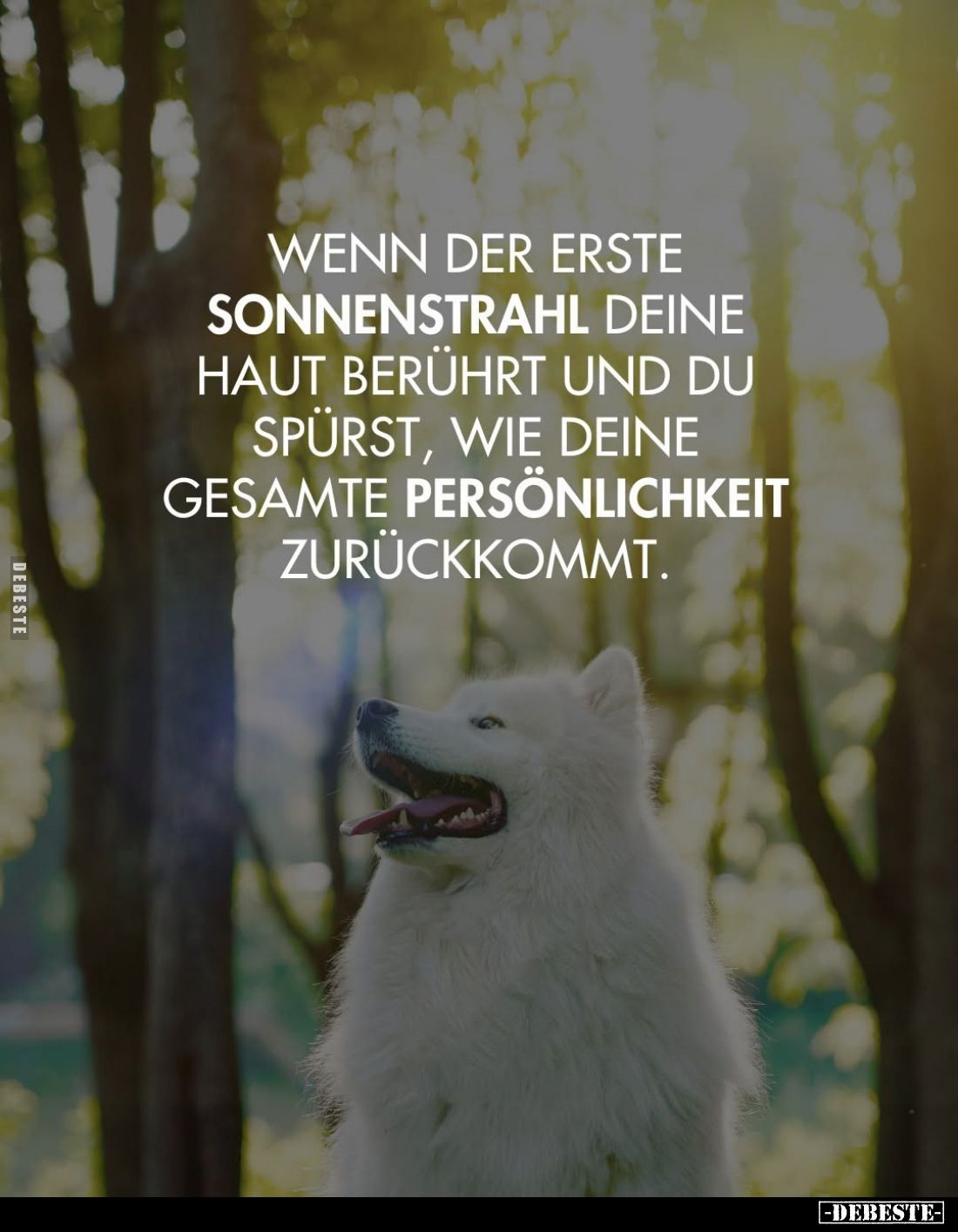 Wenn der erste Sonnenstrahl deine Haut berührt und du spürst, wie deine gesamte Persönlichkeit zurückkommt.