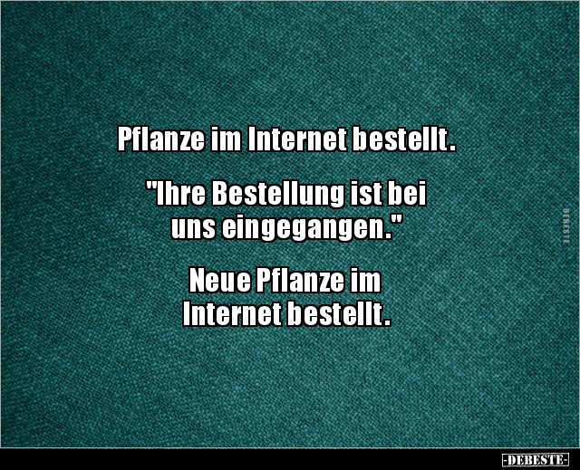 Pflanze im Internet bestellt. "Ihre Bestellung ist bei.." - Lustige Bilder | DEBESTE.de