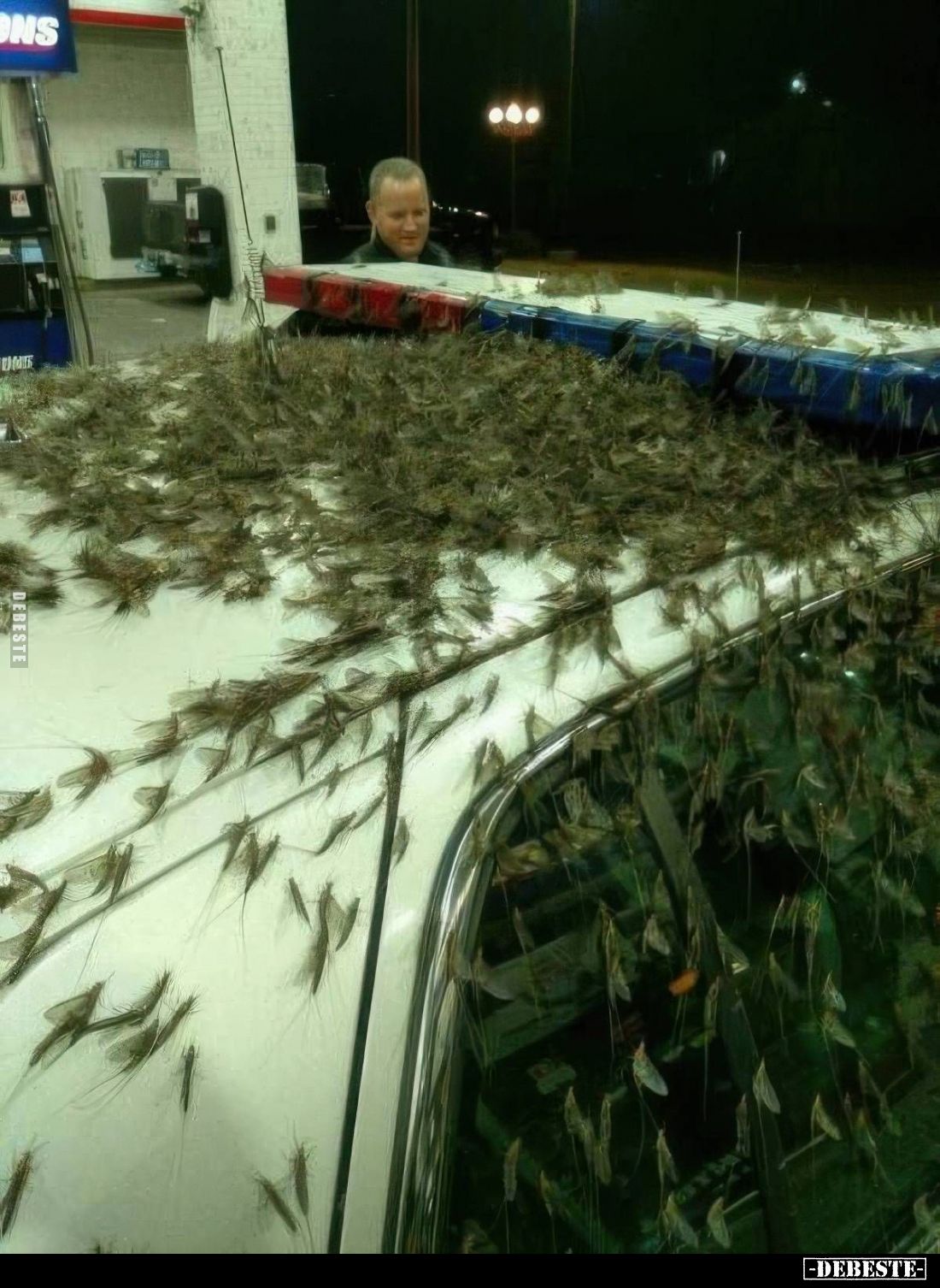  - Lustige Bilder | DEBESTE.de