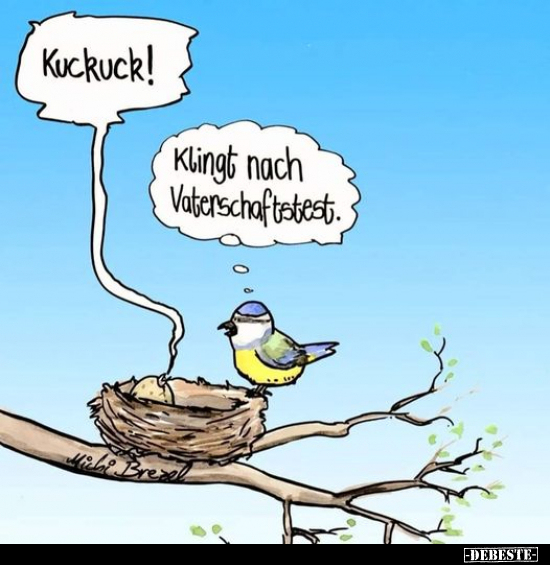 Kuckuck! - Klingt nach Vaterschaftstest... - Lustige Bilder | DEBESTE.de