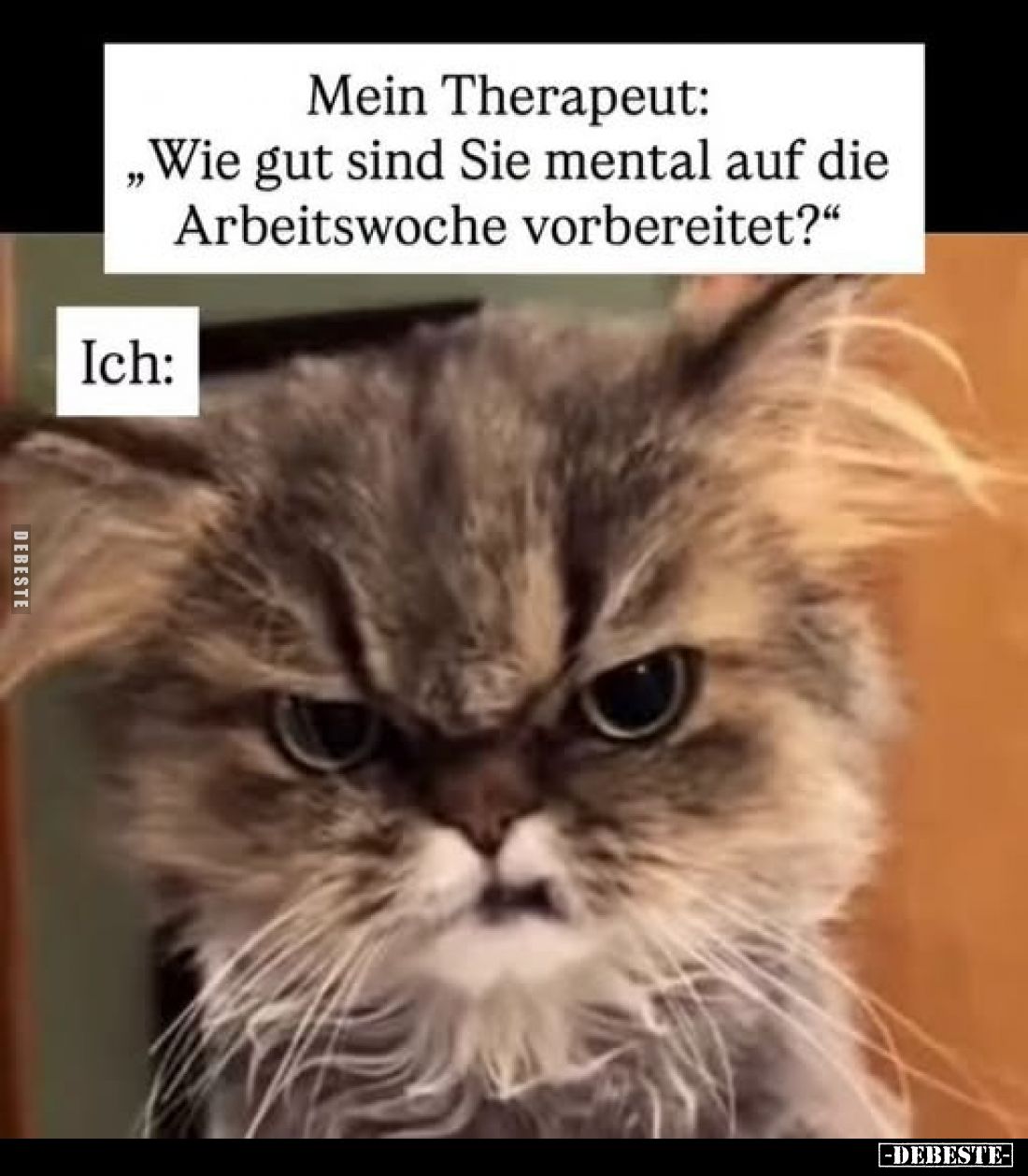 Mein Therapeut:
"Wie gut sind Sie mental auf die Arbeitswoche vorbereitet?"