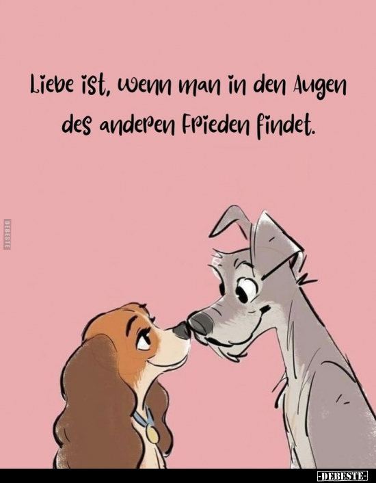 Liebe ist, wenn man in den Augen des anderen Frieden findet.. - Lustige Bilder | DEBESTE.de