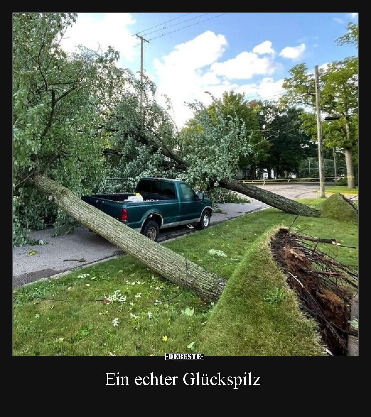 Ein echter Glückspilz