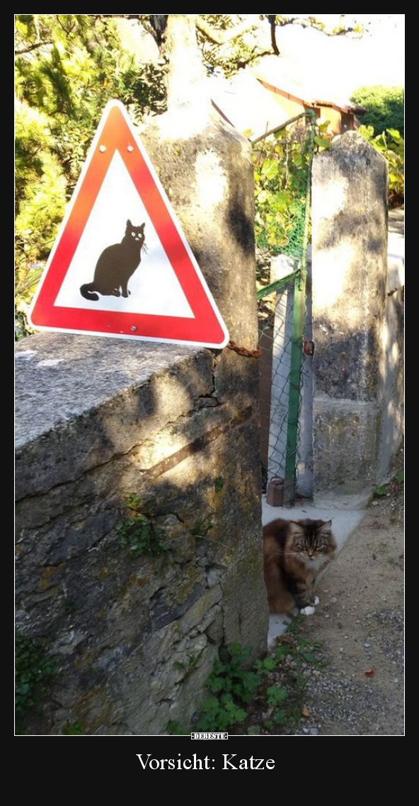 Vorsicht: Katze..