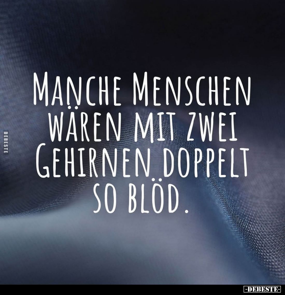 Manche Menschen waren mit zwei Gehirnen doppelt so blöd.