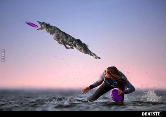  - Lustige Bilder | DEBESTE.de